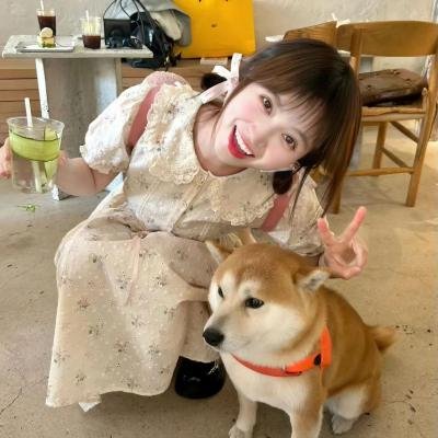 派对与胜利之歌
